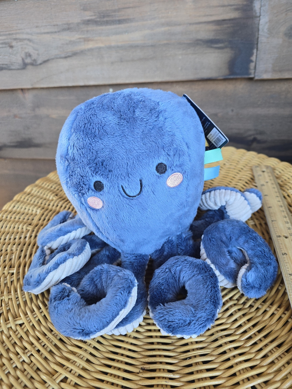 Itzy Ritzy Blue Plush Octopus
